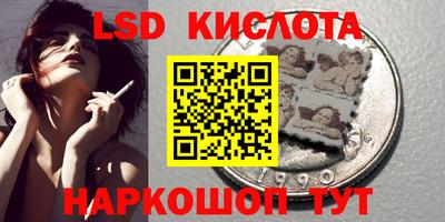 амф Камышлов