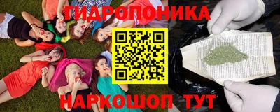 соль ск Канаш