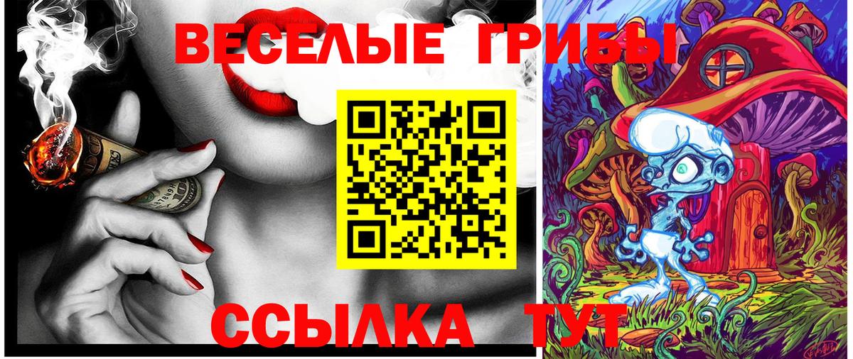 Алапаевск  Псилоцибиновые грибы прущие грибы  Вход с VPN 