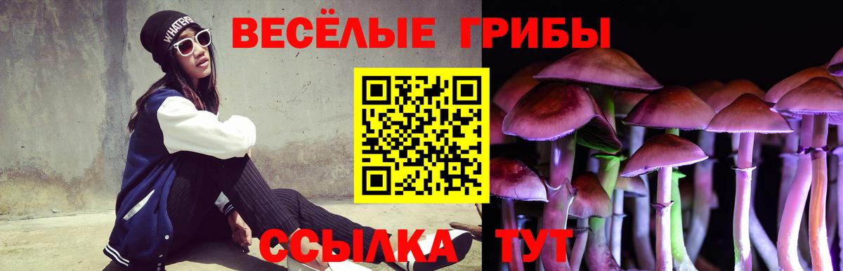 Псилоцибиновые грибы MAGIC MUSHROOMS Алапаевск